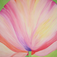Mohnblume pastell