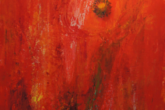 Mohnblume rot